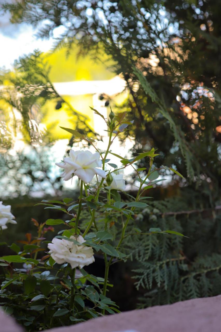 Brezos Hotel & Spa Valeria del Mar Εξωτερικό φωτογραφία